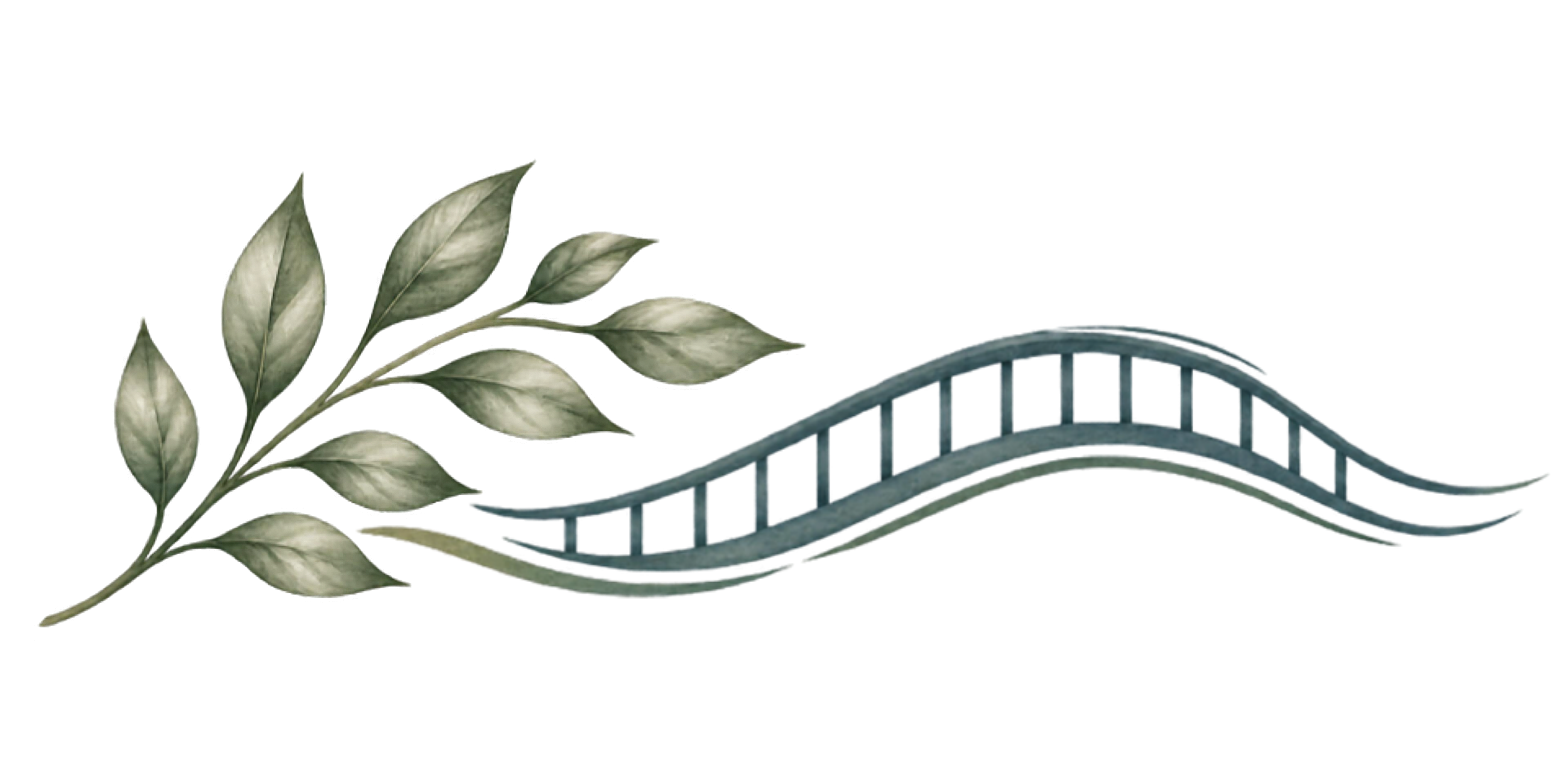Bridge and Leaf Combo Image